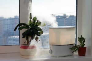 5 Ways to Improve Your Indoor Air Quality. Image shows small plant and humidifier on a windowsill.